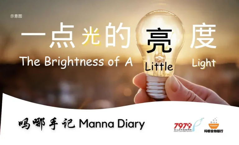 一点光的亮度 The Brightness Of A Little Light